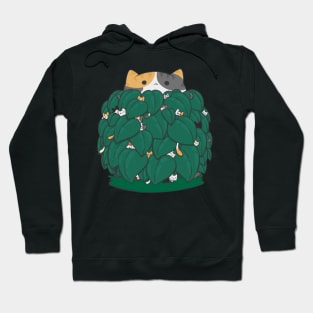 Cat Plant Hoodie